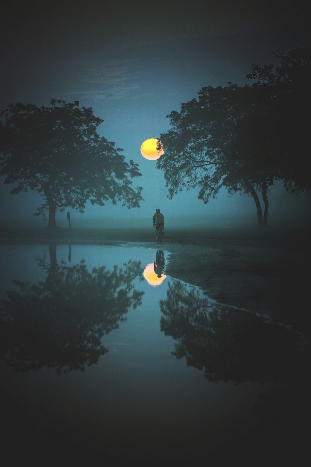 suspenseful night scene
